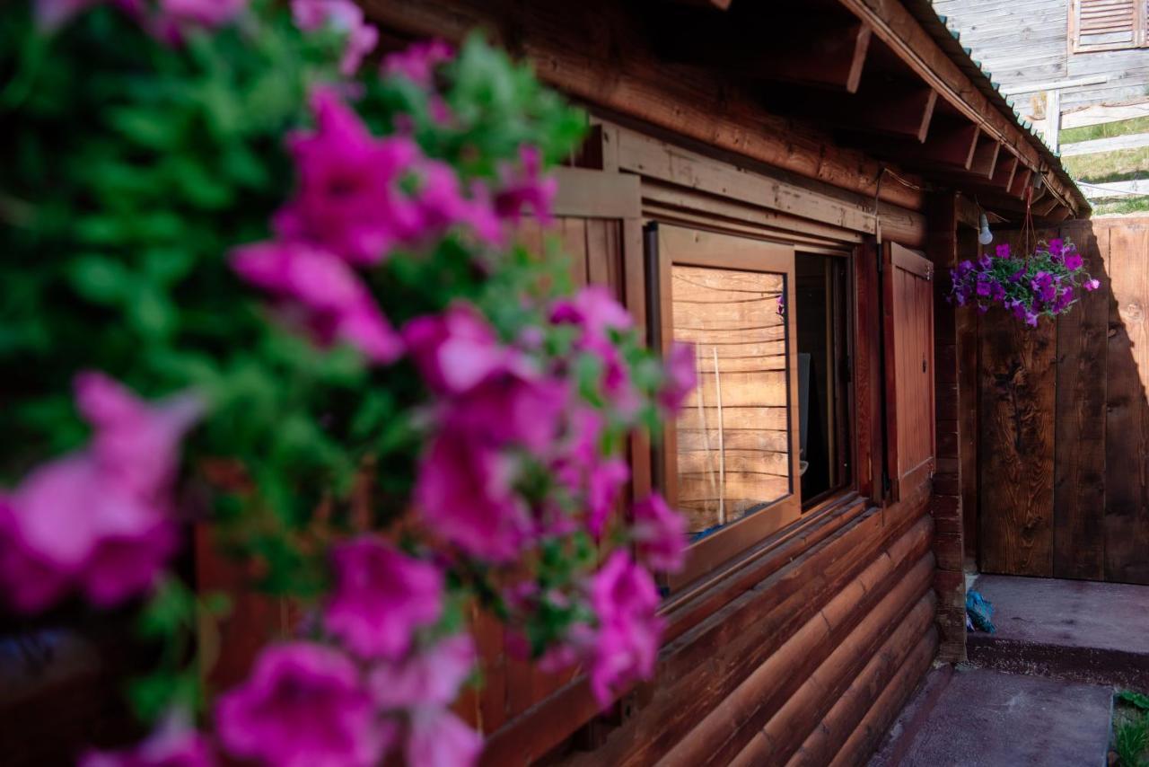 Komovi - Kobil Do Guesthouse Колашин Экстерьер фото