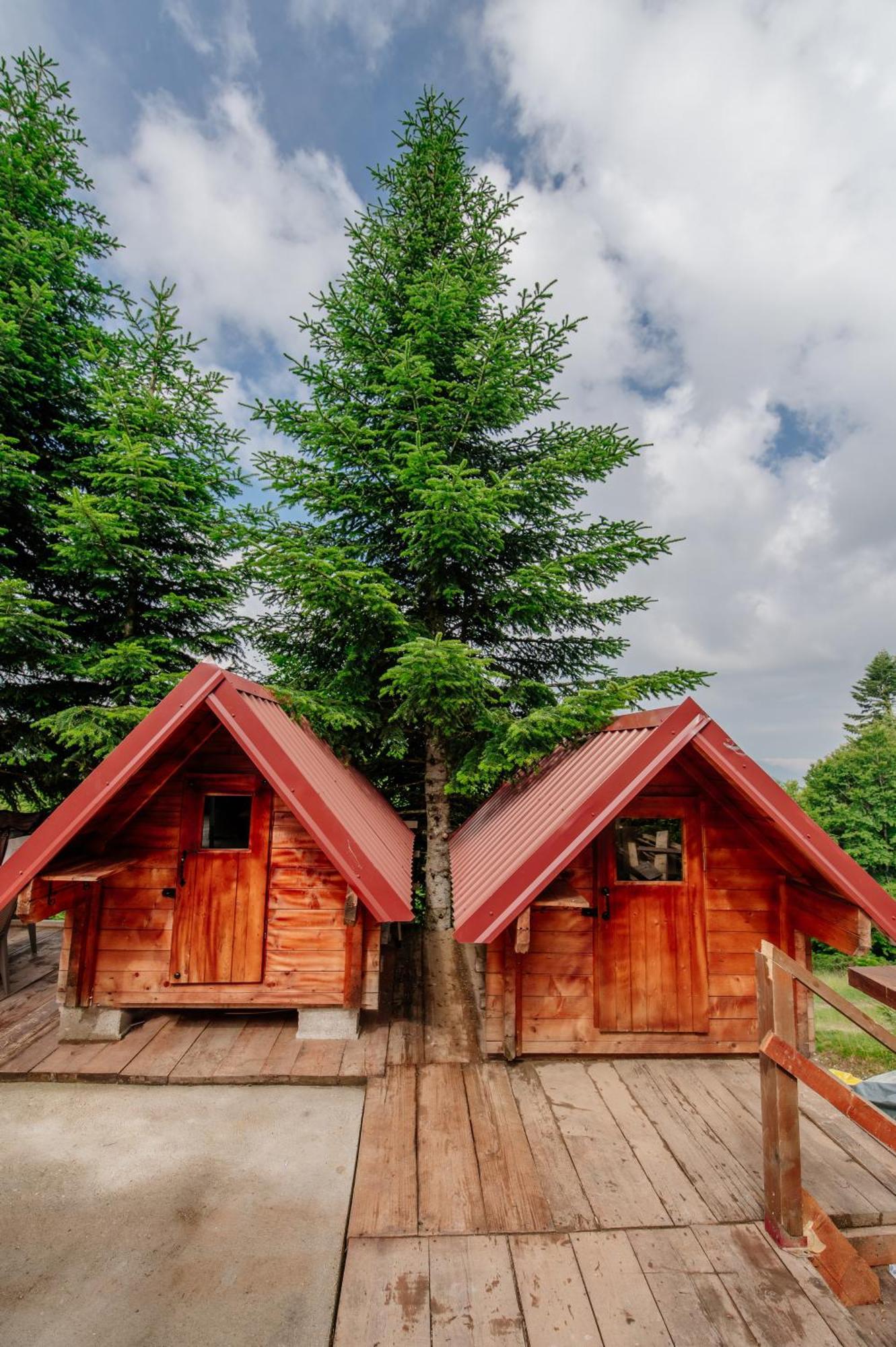 Komovi - Kobil Do Guesthouse Колашин Экстерьер фото
